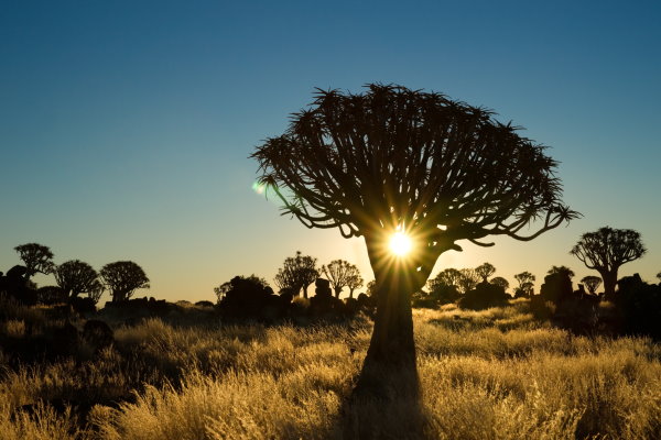 Reiseziel Namibia