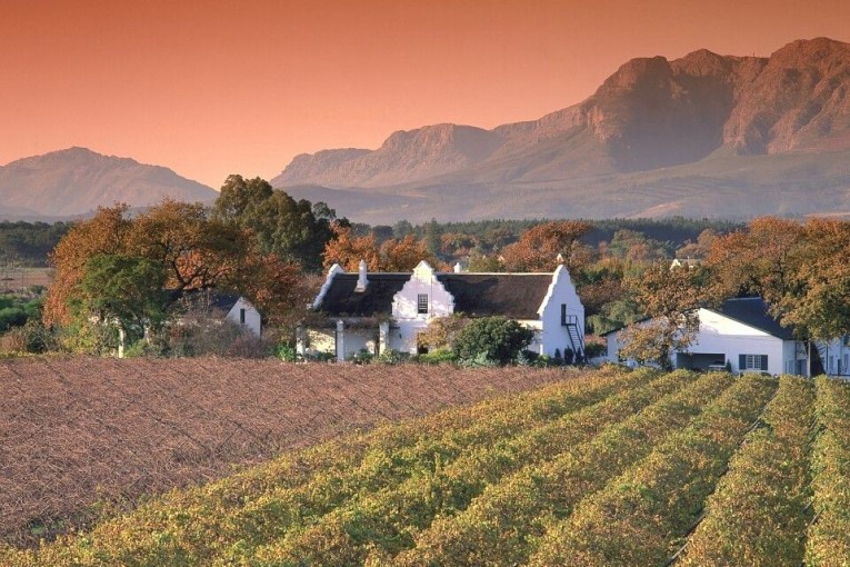 Weingut in Südafrika