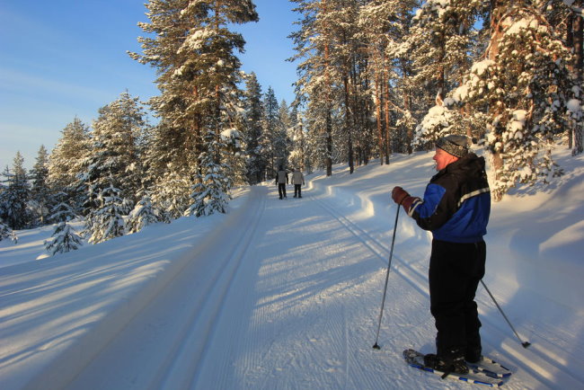 Ski-Wandertouren durch Lappland