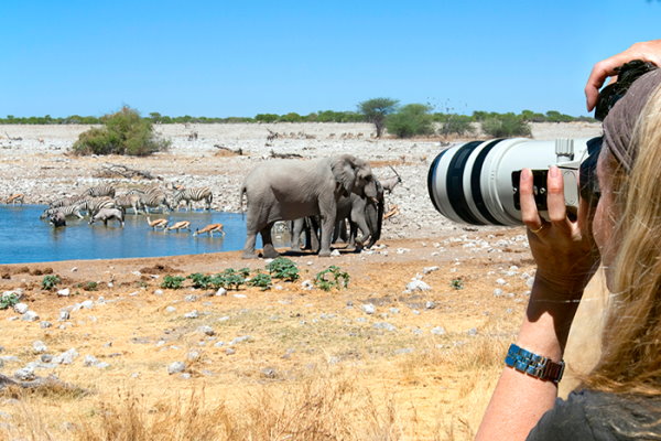 Safari in Namibia