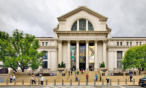 Das Naturkundemuseum von Washington